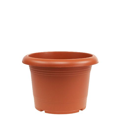 Floristik24 Plantepotte "Oliver" terracotta Ø18cm, 1stk