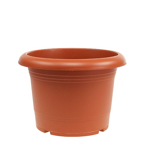 Floristik24 Plantepotte &quot;Oliver&quot; terracotta Ø25cm