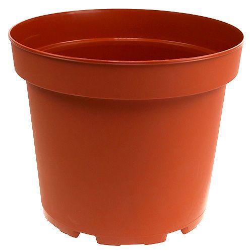 Floristik24 Plantepotte plast Ø29cm 10stk