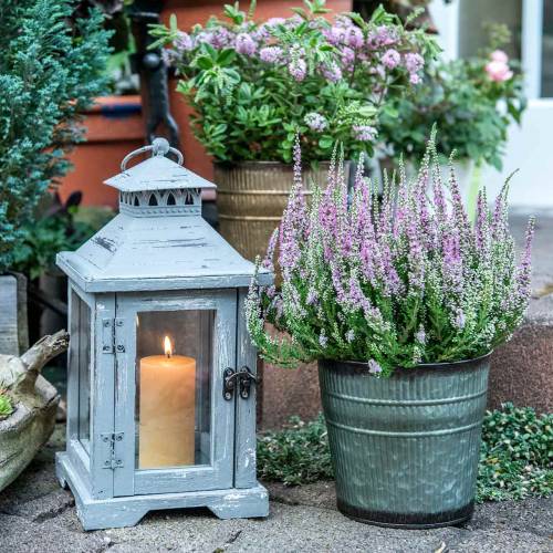 Floristik24 Plantekrukke orange, brun, grøn Ø17cm H16,5cm sæt med 3 stk