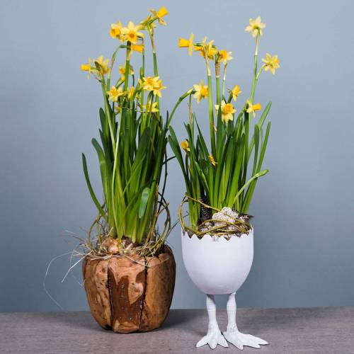 Floristik24 Plante pot æg skal med ben Ø13cm H21cm hvid