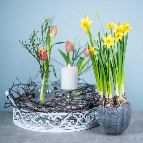Floristik24 Plantekrude æggeskal Ø12cm H11,5cm 6stk