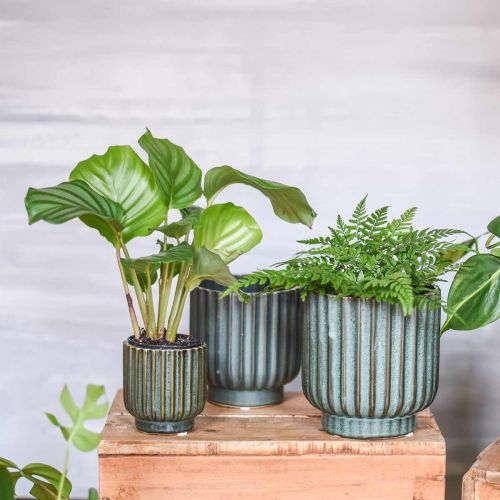 Floristik24 Plantekrukke, keramikkar, bølgepottegrøn, brun Ø11,5cm H12,5cm