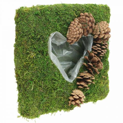 Floristik24 Plantepude hjertemos og kegler firkantet 25 × 25cm