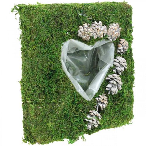 Floristik24 Plantepude hjertemos og kegler, vasket hvid 25 × 25cm