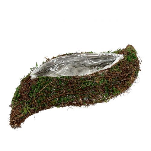 Floristik24 Plant bølgemos med vin 28cm x30cm