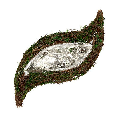 Floristik24 Plantebølgeranke, mos 45cm x 18cm H7cm
