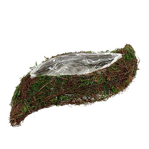 Floristik24 Plantebølgeranke, mos 45cm x 18cm H7cm