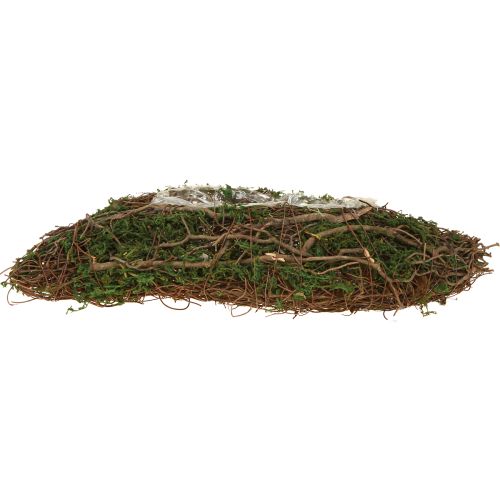Artikel Plant Wave Vines lille planteskål med mos 31×15×7 cm