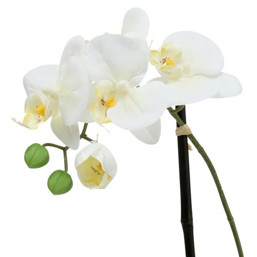Artikel Phalaenopsis hvid i skålblomsterdekoration H38cm