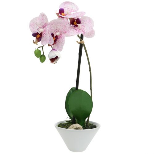 Floristik24 Kunstig phalaenopsis lilla-hvid i skål H38cm