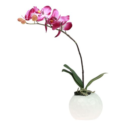 Floristik24 Kunstige orkideer i potte Phalaenopsis kunstige blomster orkideer pink 34cm