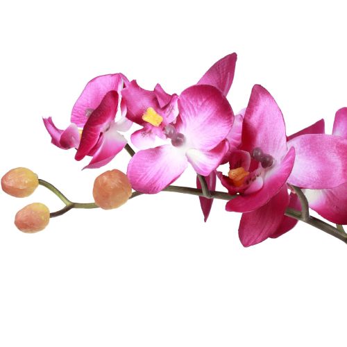 Artikel Kunstige orkideer i potte Phalaenopsis kunstige blomster orkideer pink 34cm
