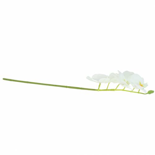 Floristik24 Kunstig orkidégren Phaelaenopsis hvid H49cm