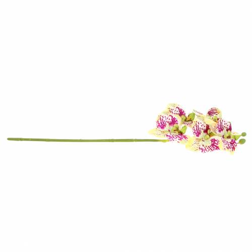 Artikel Kunstig orkidégren Phaelaenopsis Grøn Pink H49cm