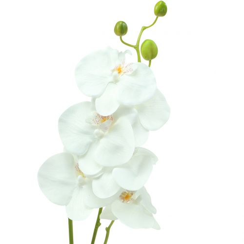 Floristik24 Orkidé Phalaenopsis kunstig hvid 80cm