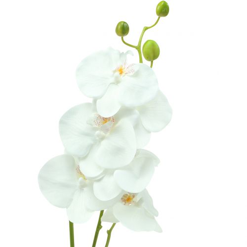 Orkidé Phalaenopsis kunstig hvid 80cm