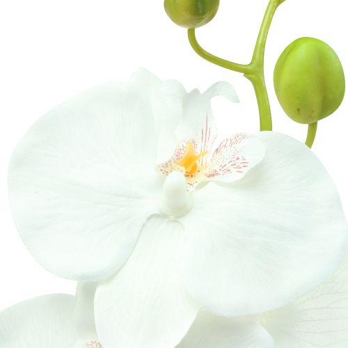 Artikel Orkidé Phalaenopsis kunstig hvid 80cm