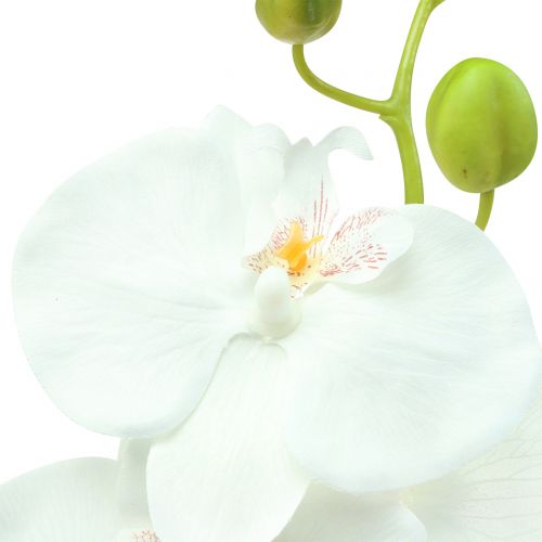 Floristik24 Orkidé Phalaenopsis kunstig hvid 80cm