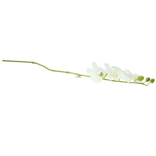 Floristik24 Orkidé Phalaenopsis kunstig hvid 80cm