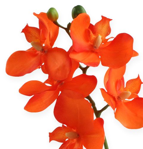Artikel Kunstig orkidé med orange blade 35 cm