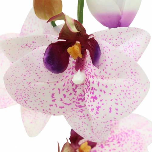 Artikel Kunstig orkidé phaleanopsis hvid, lilla 43 cm