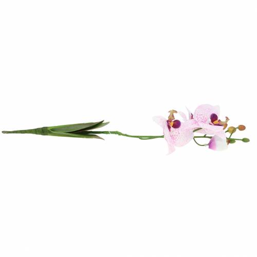 Artikel Kunstig orkidé phaleanopsis hvid, lilla 43 cm