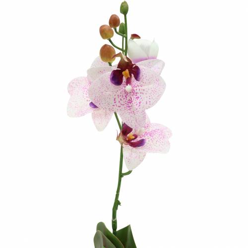 Artikel Kunstig orkidé phaleanopsis hvid, lilla 43 cm