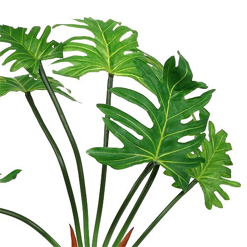 Floristik24 Philodendron plante kunstgrøn 58cm