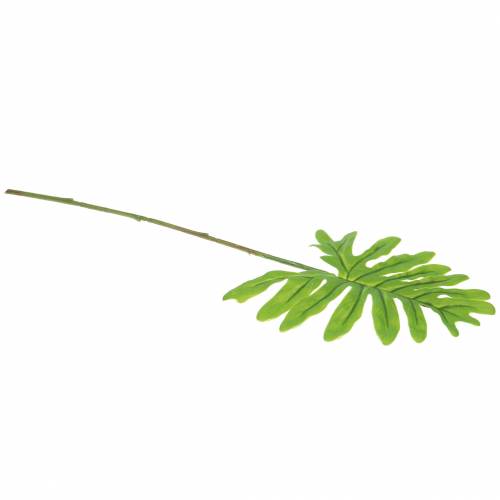 Floristik24 Philodendron Bladgrøn 40cm