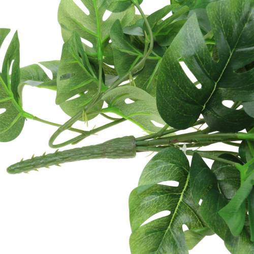 Floristik24 Philodendron bøjle grøn 85cm
