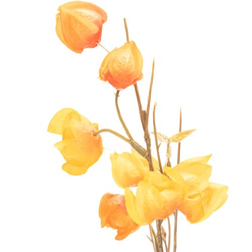 Kunstig kinesisk lanterneplante, Physalis-gren med blomster, 95 cm | Floristik24.dk