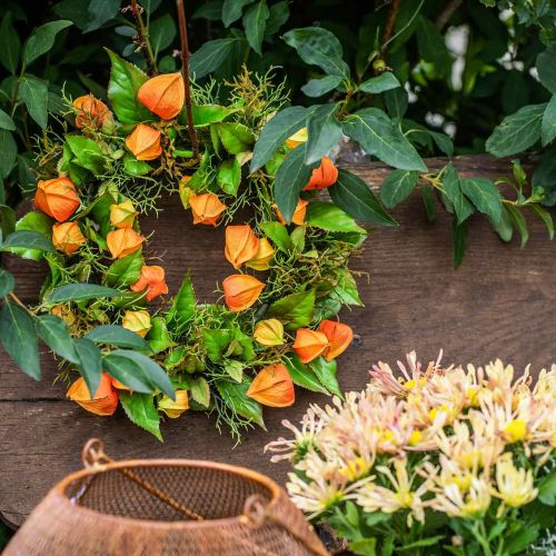 Floristik24 Physalis krans kunstig orange, grøn Ø28cm efterårsdekoration