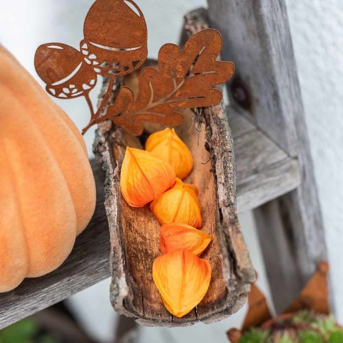 Floristik24 Physalis Orange Assorteret 22 stk dekorative kunstige bæger