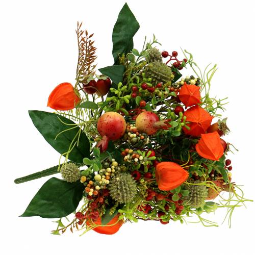 Floristik24 Efterårsbuket physalis 26cm