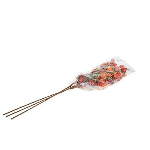 Floristik24 Physalis gren 90 cm orange 3stk