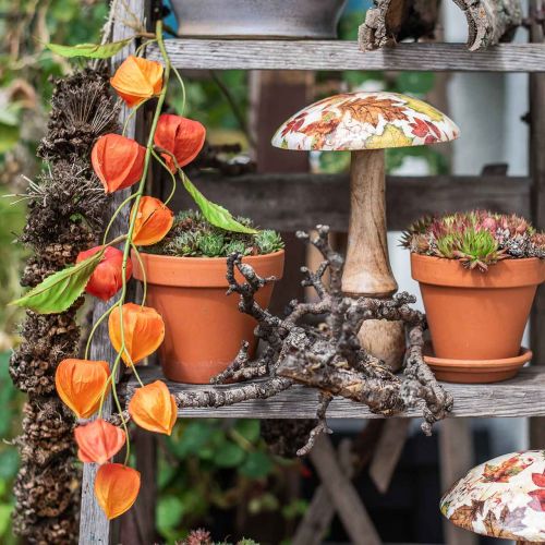 Floristik24 Physalis gren kunstig orange 78cm