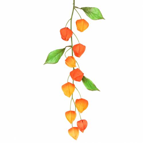 Floristik24 Physalis gren kunstig orange 78cm