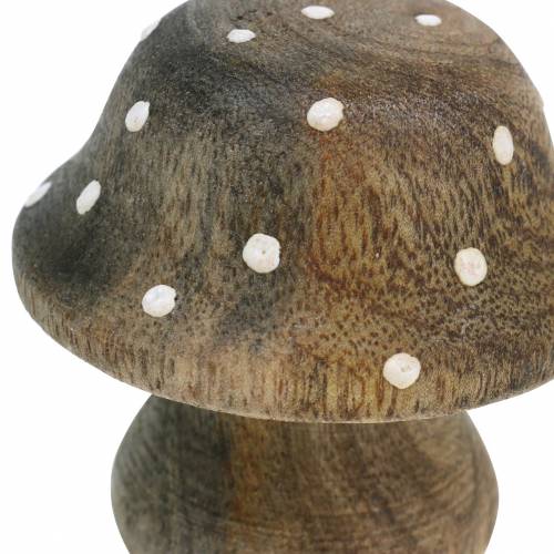 Floristik24 Dekorativ svampetræ natur 5cm 6stk
