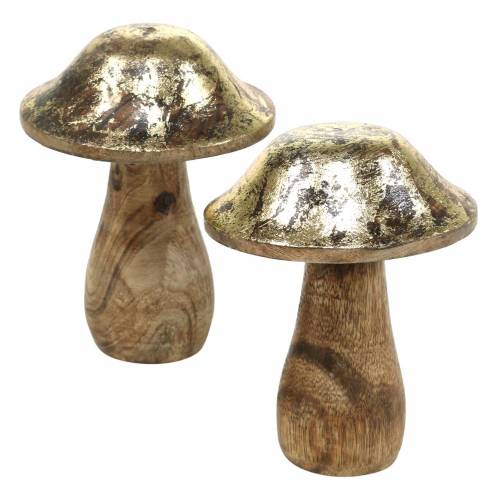 Floristik24 Træsvamp gylden, naturligt mangotræ Ø6.8cm H9.8cm 2stk