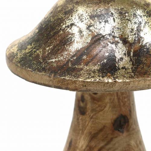 Floristik24 Træsvamp gylden, naturligt mangotræ Ø6.8cm H9.8cm 2stk