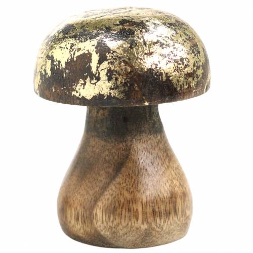 Floristik24 Træsvamp gylden, naturligt mangotræ Ø5cm H6.5cm 4stk