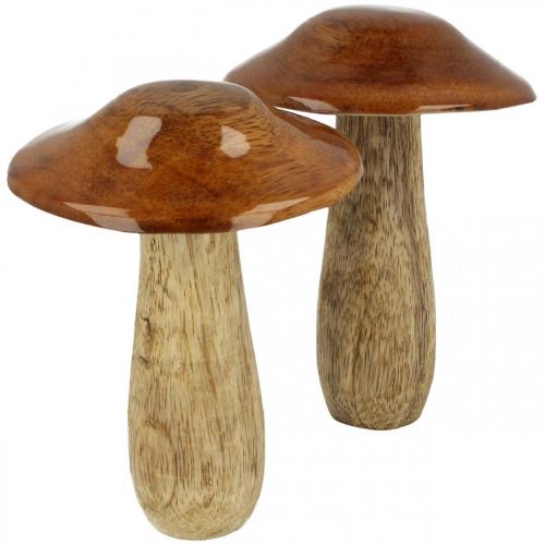 Floristik24 Champignon mango træ brun, naturbord dekoration efterår Ø9cm H12cm 2stk