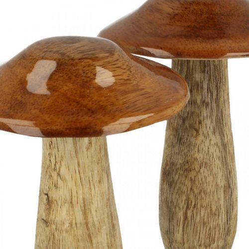 Floristik24 Champignon mango træ brun, naturbord dekoration efterår Ø9cm H12cm 2stk