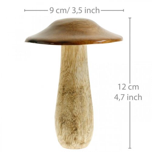 Floristik24 Champignon mango træ brun, naturbord dekoration efterår Ø9cm H12cm 2stk