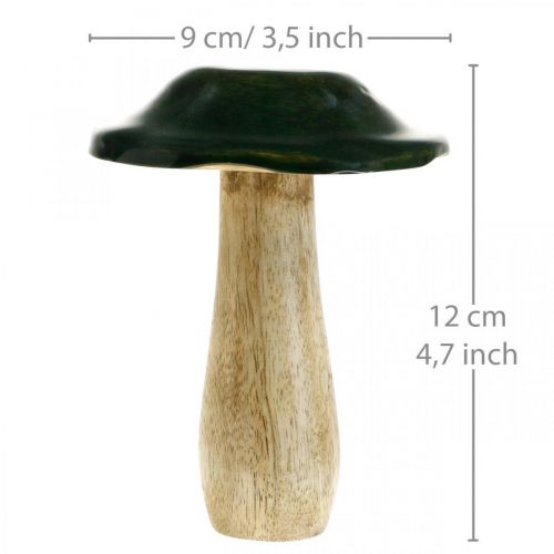 Floristik24 Svampegrønt mangotræ efterårsdekoration lavet af træ Ø9cmH11cm 2stk