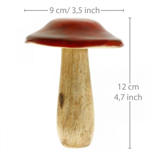 Floristik24 Svampe mangotræ rød, naturdekoration efterår Ø9cm H12cm 2stk