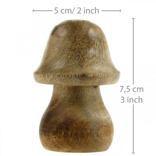 Floristik24 Svampe mango træ naturligt træ svampe efterårsdekoration Ø5cm H7,5cm 6 stk.