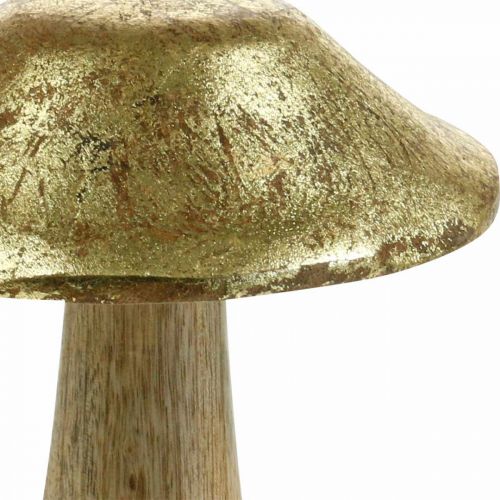 Floristik24 Svampe mango træ guld, naturlige deco svampe store Ø12cm H15cm 2stk