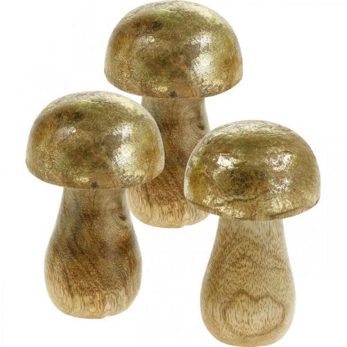 Floristik24 Champignon mangotræ guld, naturlig dekorativ svamp Ø6cm H10cm 4stk